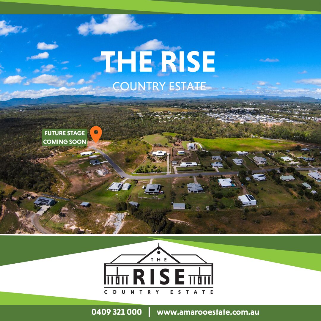 THE RISE MARKETING PLAN
